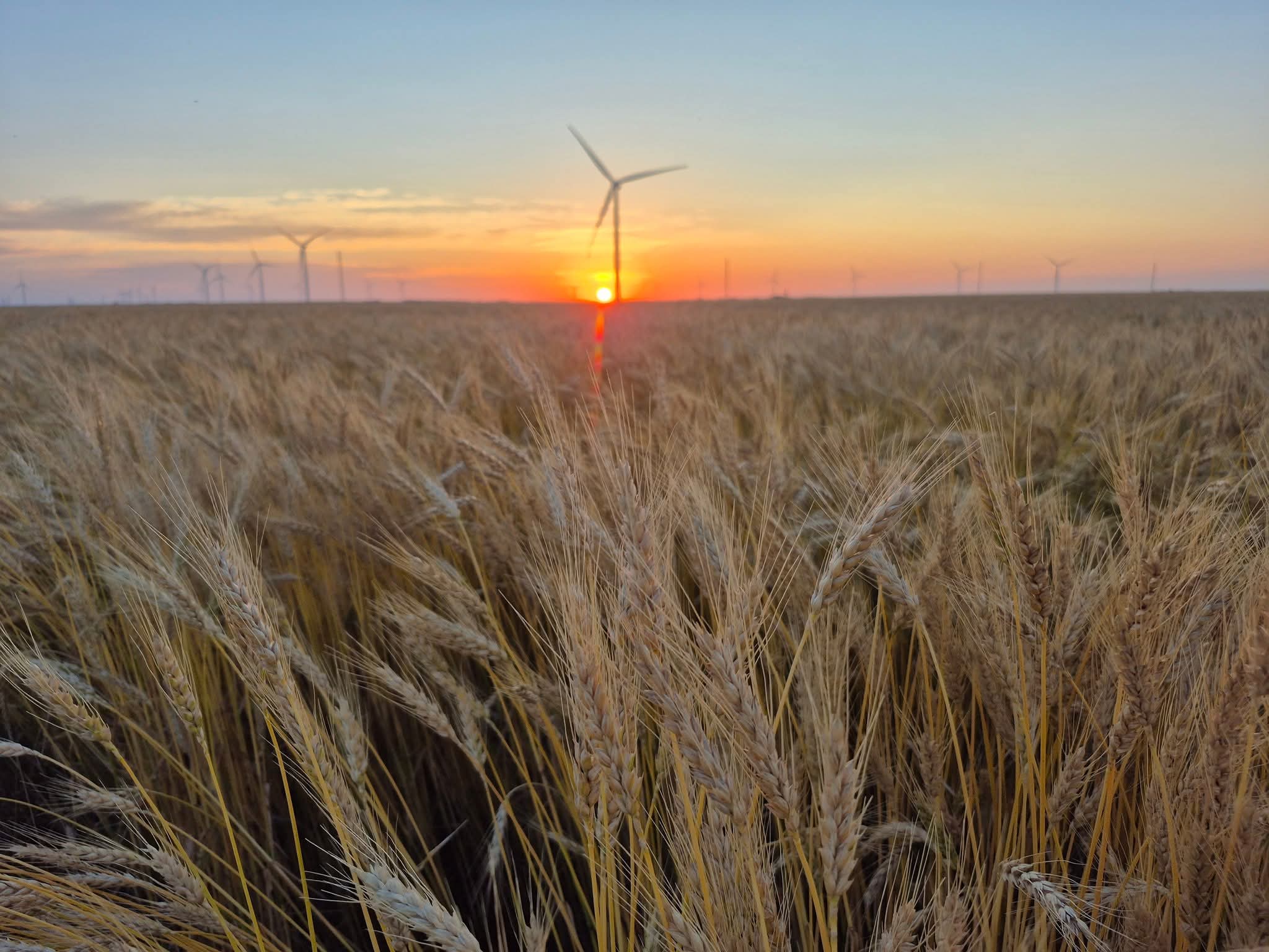 Learn About Regenerative Farming