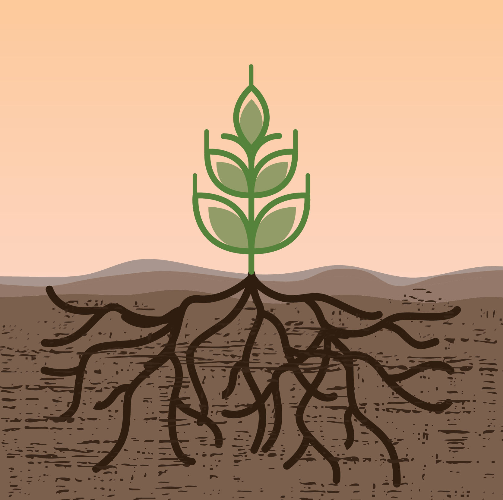 Illustration of a green plant with roots emerging from the ground on a beige background to communicate native prairie soil at Stegman Family Farms