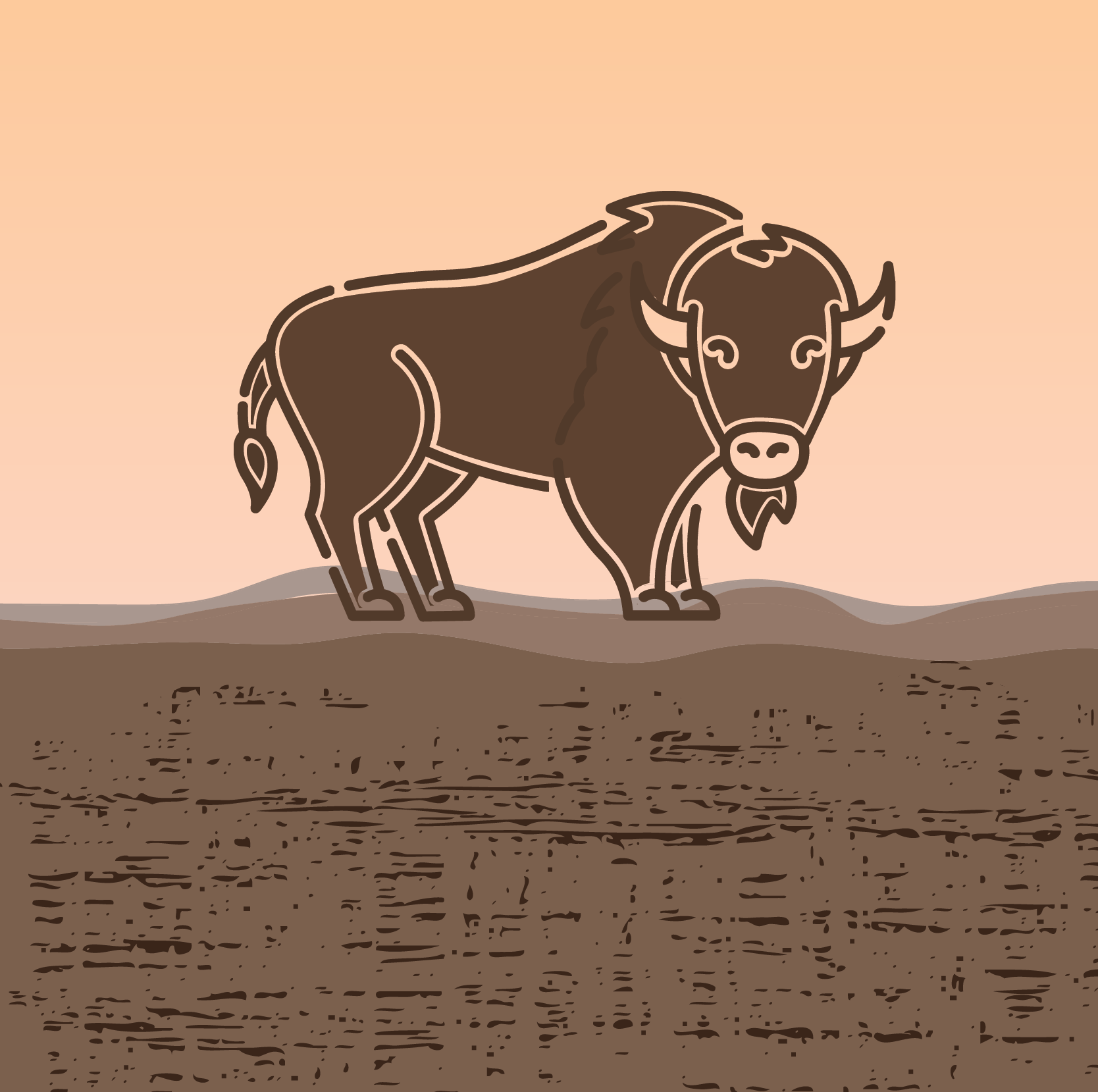 Illustration of a bison on a plain background to communicate how herds helped the prairie soil biome.