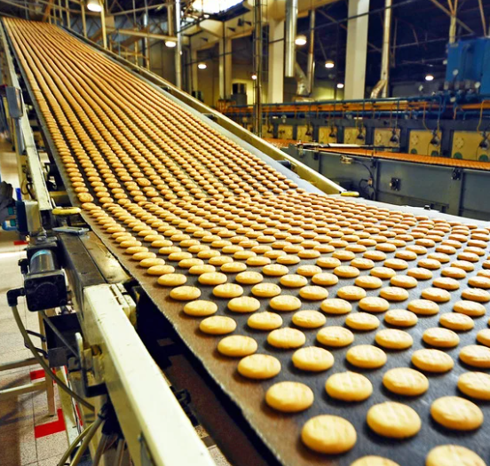Conveyor belt with rows of round cookies in a factory setting